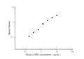 Uncoated Mouse LEPR (Leptin Receptor) ELISA Kit – Figure 1 of 4