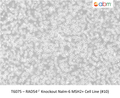 RAD54<sup>-/-</sup> Knockout Nalm-6 MSH2+ Cell Line (#10) | Applied Biological Materials (abm)