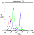 Anti-CD4 Antibody (Monoclonal, CA-4)