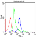 Anti-CD8 Cd8A Antibody (Monoclonal, CA-8)