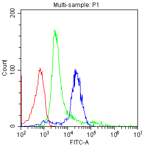 Anti-CD8 Cd8A Antibody (Monoclonal, CA-8)
