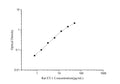 Rat ET-1 (Endothelin 1) ELISA Kit – Figure 1 of 3