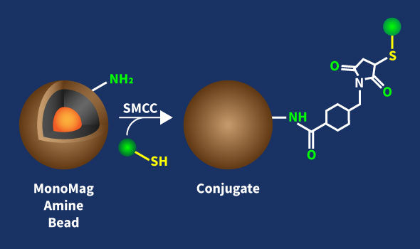 MonoMag Amine Beads Conjugation Kit – Figure 1 of 1