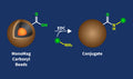 MonoMag Carboxyl Beads Conjugation Kit – Figure 1 of 1