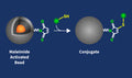 MonoMag Maleimide Beads Conjugation Kit – Figure 1 of 1