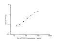 QuicKey Pro Rat VCAM-1/CD106 (Vascular Cell Adhesion Molecule 1) ELISA Kit – Figure 1 of 3