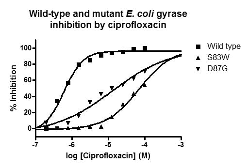 Quinolone-resistant E. coli Gyrase Mutant S83W Assay Kit Plus – Figure 1 of 1