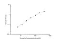 Uncoated Mouse IgA (Immunoglobulin A) ELISA Kit – Figure 1 of 4