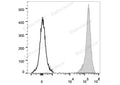 PerCP/Cyanine5.5 Anti-Rat CD90/Mouse CD90.1 Antibody[OX-7] – Figure 1 of 2