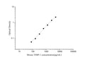 Uncoated Mouse TIMP-1 (Tissue Inhibitors of Metalloproteinase 1) ELISA Kit – Figure 1 of 4