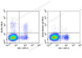 PE Anti-Human/Mouse KLRG-1 Antibody[2F1] – Figure 1 of 2