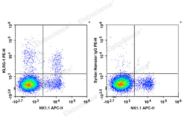 PE Anti-Human/Mouse KLRG-1 Antibody[2F1] – Figure 1 of 2