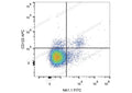 APC Anti-Mouse CD122/IL-2RB Antibody[5H4] – Figure 1 of 2