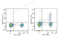 PE Anti-Mouse CD25 Antibody[PC-61.5.3] – Figure 1 of 2