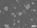 NCH644 cell