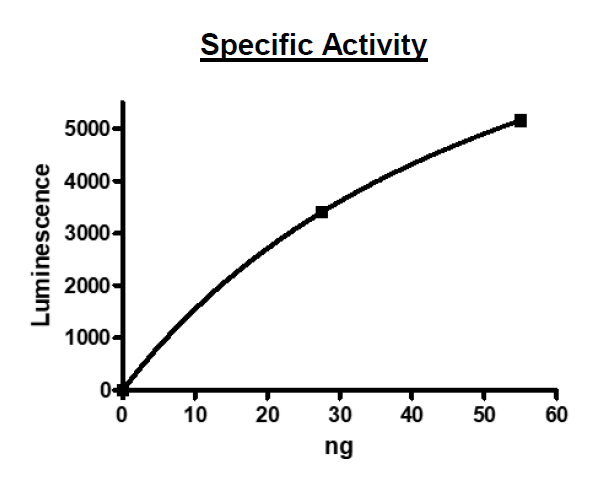 NEK7, GST-tag Recombinant – Figure 1 of 2