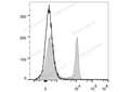PerCP Anti-Rat CD4(domain 1) Antibody[OX-38] – Figure 1 of 2