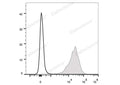 PE Anti-Mouse CD69 Antibody[H1.2F3] – Figure 1 of 2
