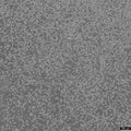 P388 cell
