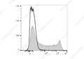 PE/Cyanine7 Anti-Rat CD90/Mouse CD90.1 Antibody[OX-7] – Figure 1 of 2