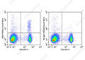 PE/Elab Fluor® 594 Anti-Mouse CD25 Antibody[PC-61.5.3] – Figure 3 of 5