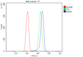 Anti-Bag5 Antibody Picoband®