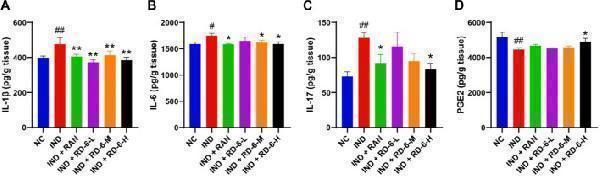 Anti-IL1 beta/IL1B Antibody Picoband®