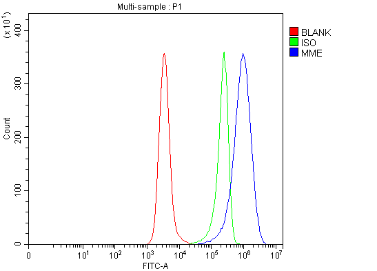 Anti-CD10/MME Antibody Picoband®