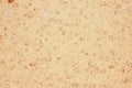 Anti-CNTF Antibody Picoband®