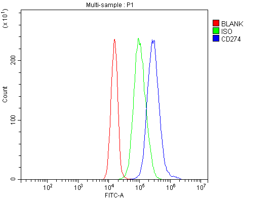 Anti-PD-L1/CD274 Antibody Picoband®