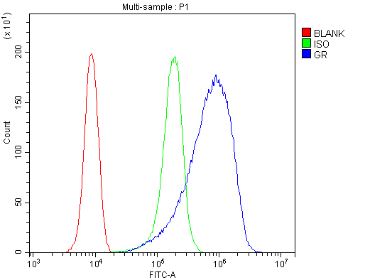 Anti-Glucocorticoid Receptor/NR3C1 Antibody Picoband®