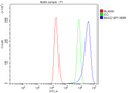 Anti-BAG2 Antibody Picoband®