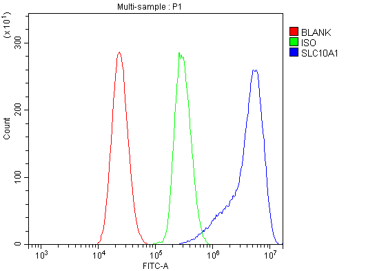 Anti-SLC10A1 Antibody Picoband®
