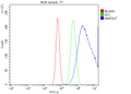 Anti-MEK7/MAP2K7 Antibody Picoband®