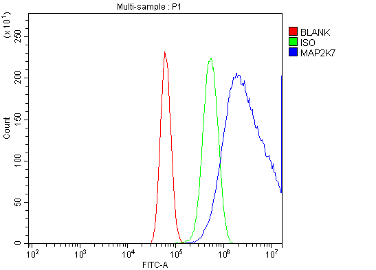 Anti-MEK7/MAP2K7 Antibody Picoband®