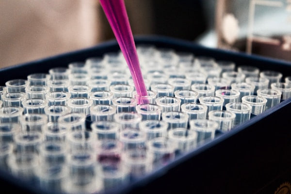 ELISA Kits