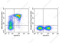 Elab Fluor® Violet 450 Anti-Mouse CD90.2/Thy1.2 Antibody[30H12] – Figure 3 of 5