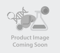 Anti-Kv3.1b Antibody – Figure 1 of 1