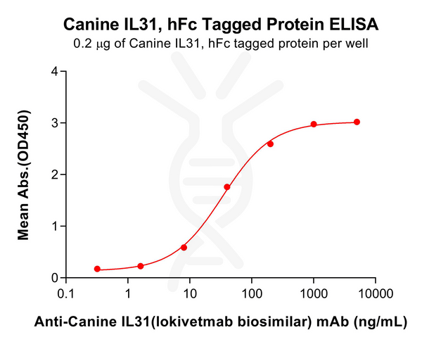 Canine IL31 Protein, hFc Tag – Figure 1 of 1