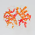 Human HLA-A Protein, hFc Tag – Figure 1 of 1