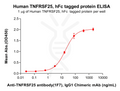 Human TNFRSF25 Protein, hFc Tag – Figure 1 of 1