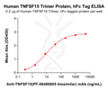 Human TNFSF15 Trimer Protein, hFc Tag – Figure 1 of 1