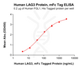Human LAG3 Protein, mFc Tag – Figure 1 of 1