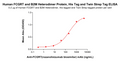 Human FCGRT and B2M Heterodimer Protein, His Tag and Strep Tag – Figure 1 of 1