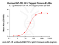 Human IGF-1R Protein, hFc Tag – Figure 1 of 1