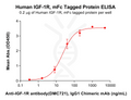 Human IGF-1R Protein, mFc Tag – Figure 1 of 1