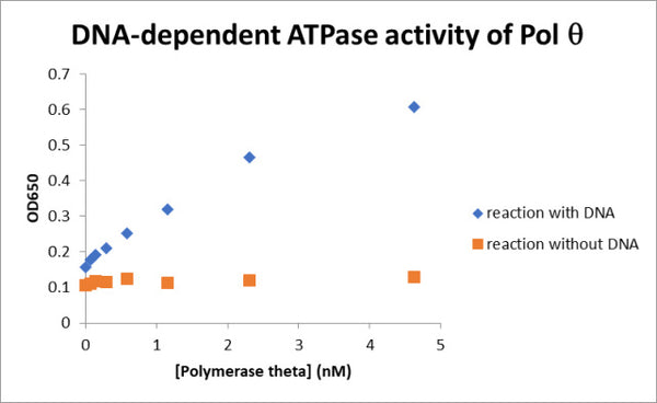 Human DNA Polymerase Theta ATPase Assay Kit – Figure 1 of 1