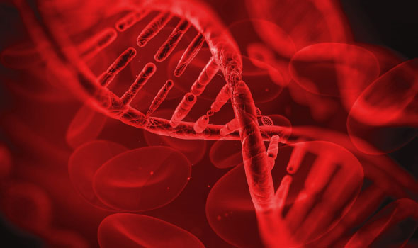 PureBind Blood DNA Isolation Kit – Figure 1 of 1