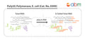 Poly(A) Polymerase, E. coli