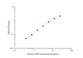 Uncoated Human CRP (C-Reactive Protein) ELISA Kit – Figure 1 of 4
